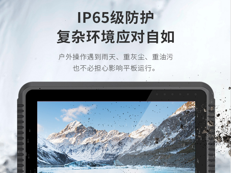 8英寸工業(yè)平板電腦,IP65級防護(hù),DTP-0809-N5100